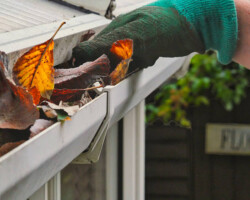 Hand with glove removing autumn leaves from gutter