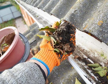 gutter-cleaning2